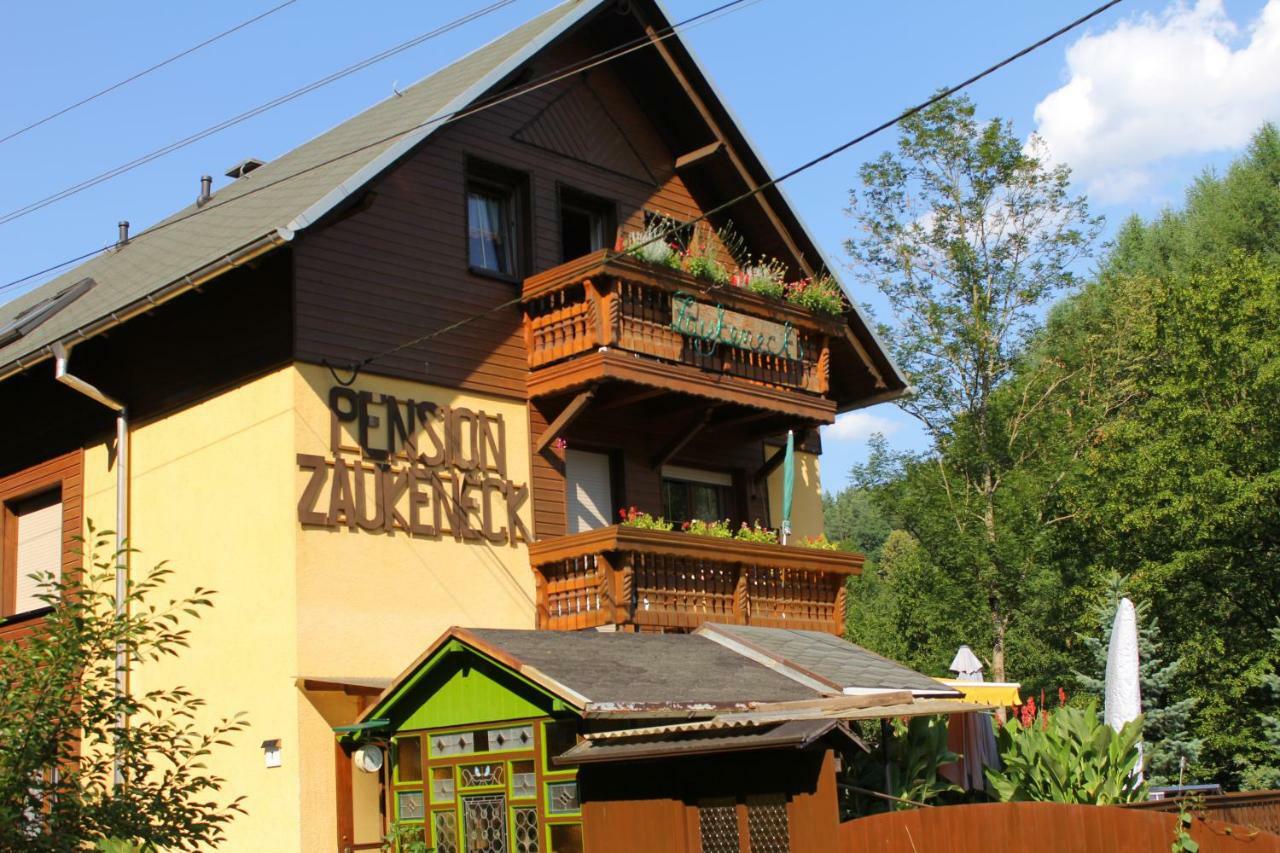 Pension Zaukeneck Бад-Шандау Экстерьер фото
